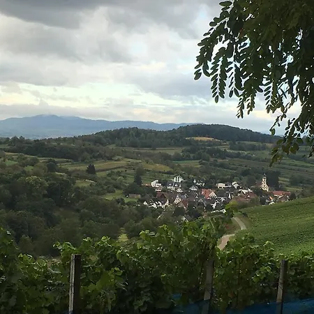 Holiday Apartment Bombach Kenzingen Zewnętrze zdjęcie